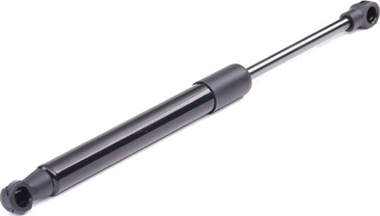 RIDEX 219G0255 Baklukedemper