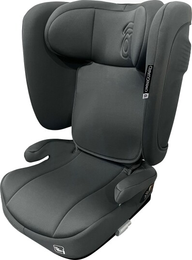 Asalvo Omniguard Beltestol Grey Asalvo Omniguard Beltestol Grey