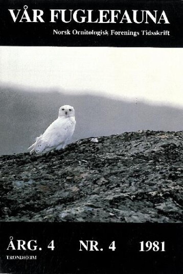 Norsk Ornitologisk Forening Vår Fuglefauna   1981 4 årgang 4