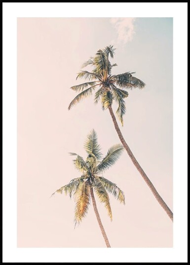 Tropical Palms Poster Plakat / 30x40cm