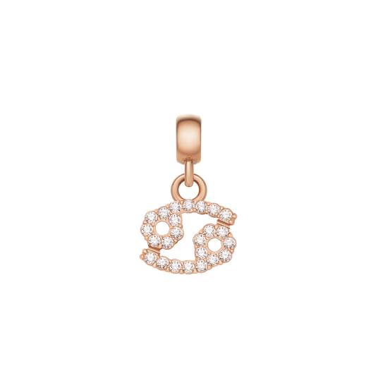 Daniel Wellington DW Charm Zodiac Rose Gold Daniel Wellington DW Charm Zodiac Rose Gold