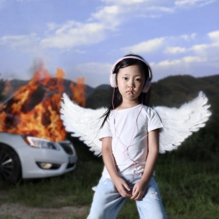 Car, The Garden  Harmony  CD