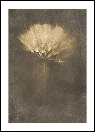 Mysterious Days Plakat Plakat / 21x30cm