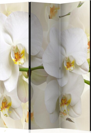 Kadira Rumsavdelare 135x172 cm VALUE_MISSING_1 -