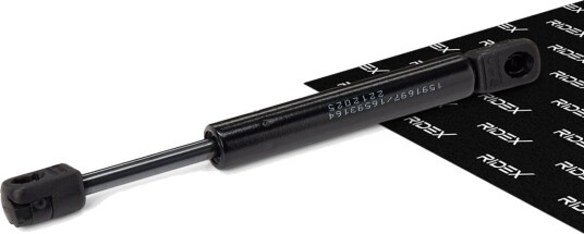 RIDEX 219G1016 Baklukedemper