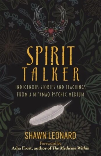 Spirit Talker Av Shawn Leonard