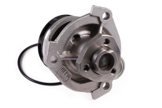 HEPU P347 Vannpumpe HEPU P347 Vannpumpe