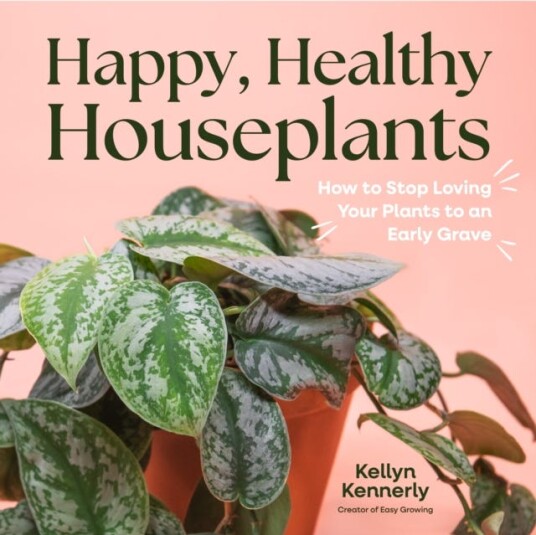 Happy, Healthy Houseplants  How to Stop Loving Your Plants to an Early Grave