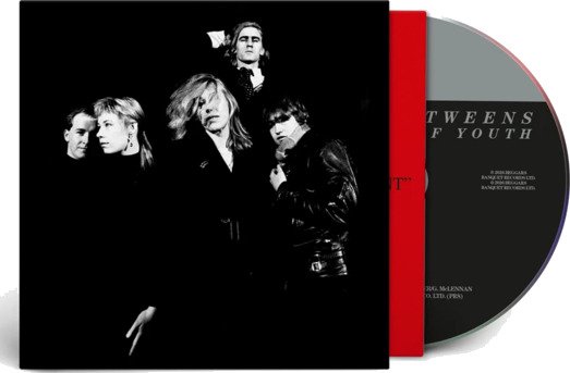 The GoBetweens Fountains Of Youth (Live At The Town and Country Club) CD
