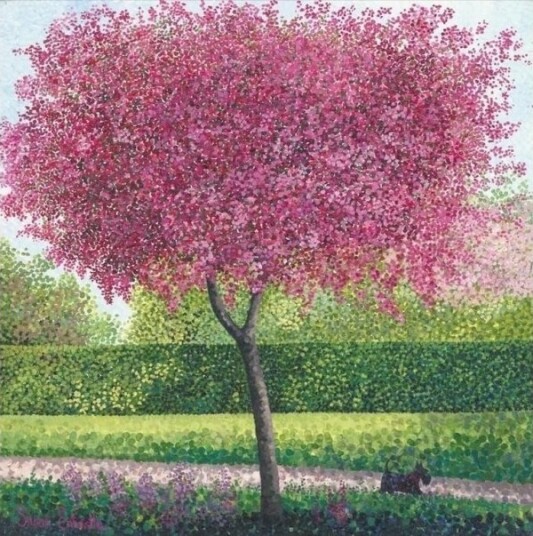 Kort Med Konvolutt Blomster Epletre