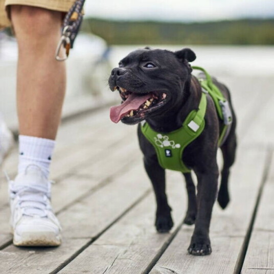 Hurtta Weekend Warrior Ii Eco Hundesele (Xl)