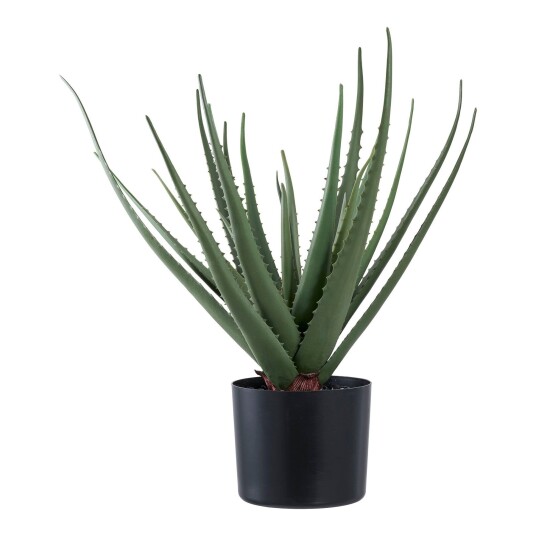 House Nordic Aloe Vera 9501001