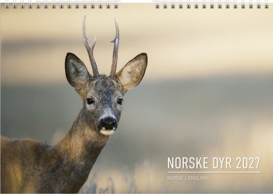 Veggkalender GRIEG 2027 Norske dyr
