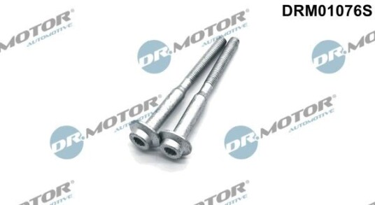 Bolt, innsprøytningsdyse holder Dr.Motor Automotive DRM01076S