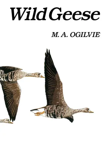 Wild Geese Wild Geese
