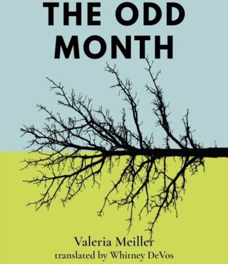 The Odd Month