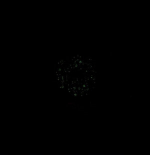 Dughpa II CD