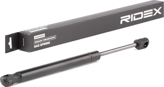 RIDEX 219G0918 Baklukedemper