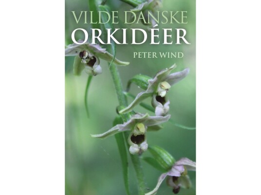 Vilde Danske Orkidéer | Peter Wind | Språk: Dansk