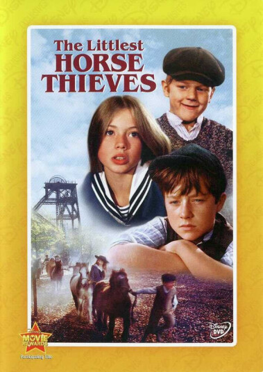 Littlest Horse Thieves DVD