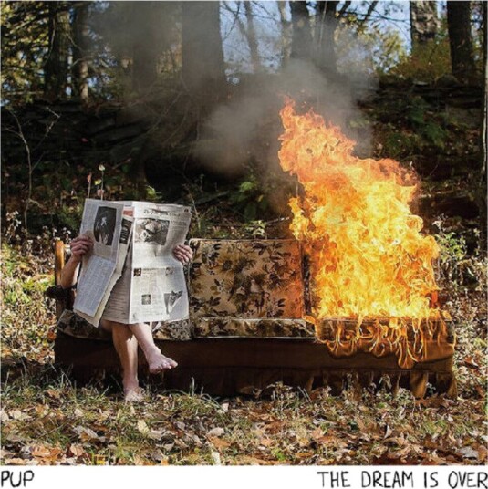Dream Is Over Vinyl