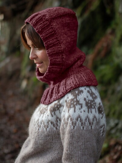 221K-12d MJUK hood