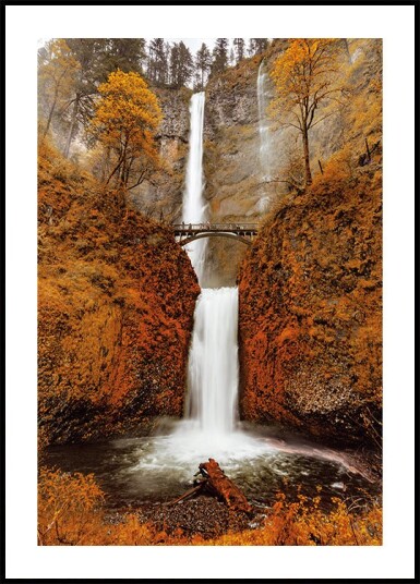 Autumn Waterfall in the Forest Plakat Plakat / 40x50cm