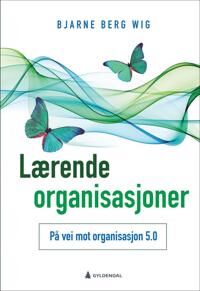 Lærende Organisasjoner Av Bjarne Berg Wig