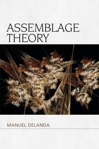 Assemblage Theory Av Manuel Delanda