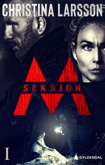 Seksjon M Av Christina Larsson