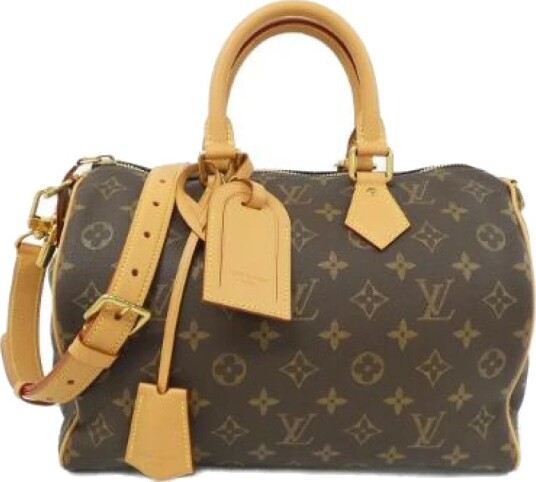 Louis Vuitton Vintage Dame Pre owned Brun ONE SIZE,