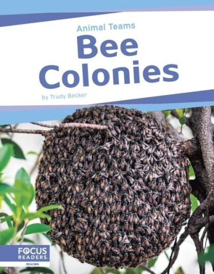Bee Colonies Bee Colonies