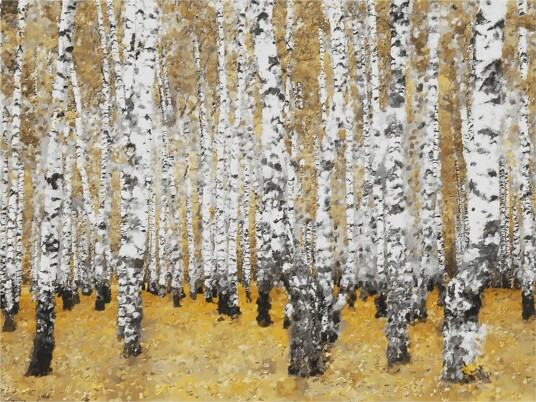 Fototapet Autumnal Birch Forest 250x193 - Artgeist sp. z o. o.