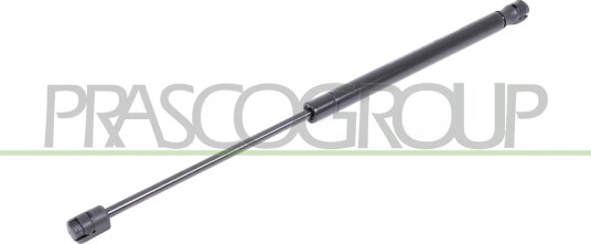 PRASCO VG0169055 Baklukedemper