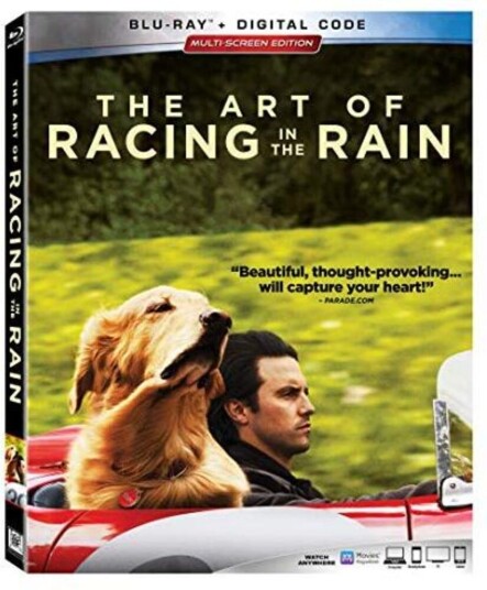 Art Of Racing In The Rain Bluray
