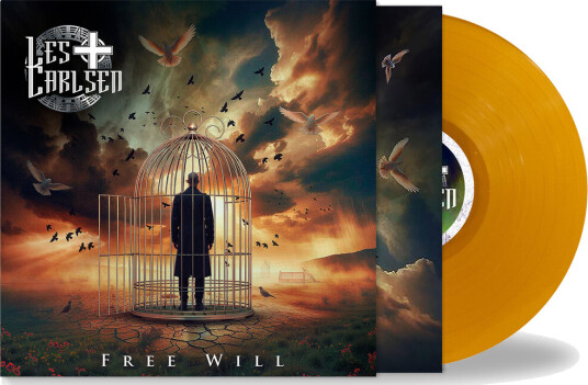 Free Will Orange