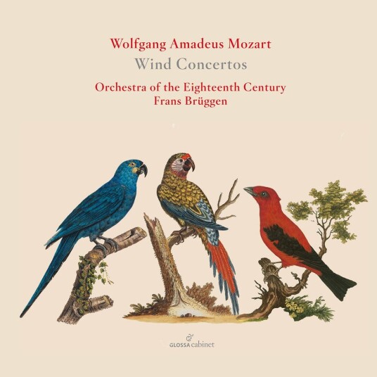Orchestra Of The Eighteenth Century Frans Brüggen  Wind Concertos  CD