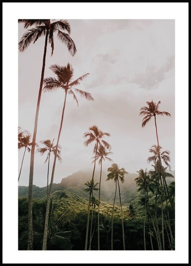 Palms and Mountain Plakat Plakat / 40x50cm