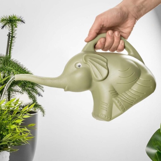 Vannkanne - Elefant Vannkanne - Elefant
