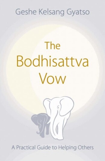 The Bodhisattva Vow  A Practical Guide to Helping Others