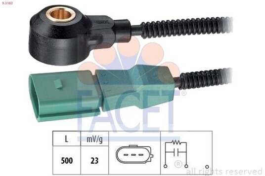 Bankesensor FACET 9.3163