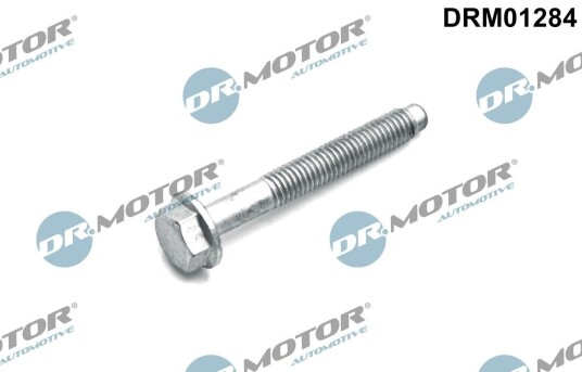 Bolt, innsprøytningsdyse holder Dr.Motor Automotive DRM01284