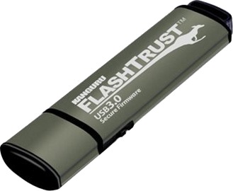 Delock USB-C Minnepinne 256 GB 20 Gbps