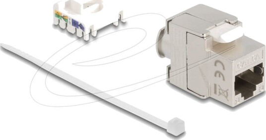 Delock Rj 45 Cat 6A Hvit Sølv