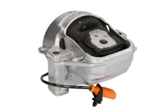 Motorfeste REINHOCH RH11-0139