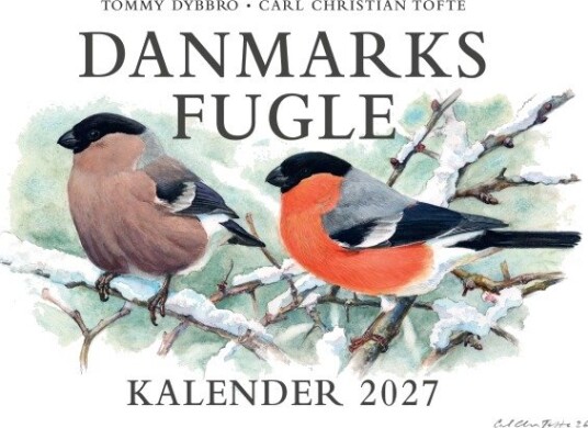 Danmarks Fugle - Kalender 2027 | Carl Christian Tofte, Tommy Dybbro Danmarks Fugle - Kalender 2027 | Carl Christian Tofte, Tommy Dybbro