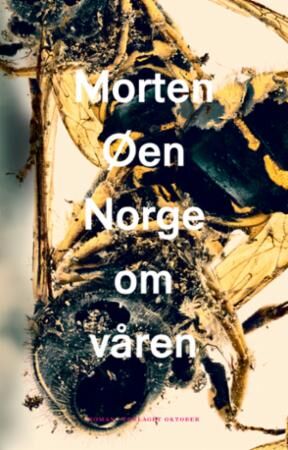 Norge Om Våren Av Morten Øen