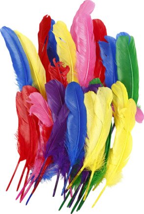 Fjær 20 cm Assorterte Farger 36 stk