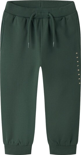 Name It Bukser NmmNilius Sycamore Name It 5 år (110) Bukser bomull Armygrønn Grønn