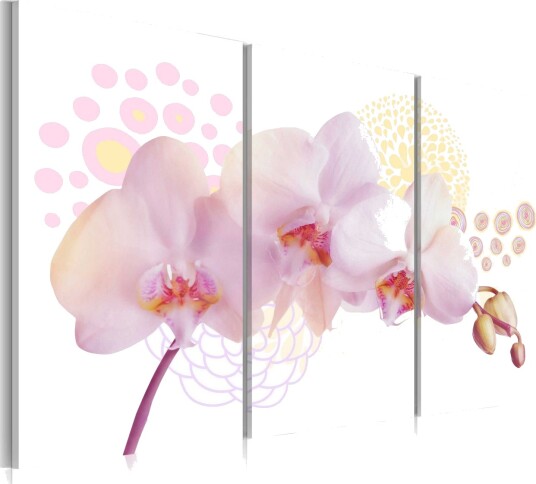 Bilde White Lady 90x60 Artgeist sp. z o. o.